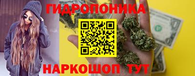 стафф Краснодар