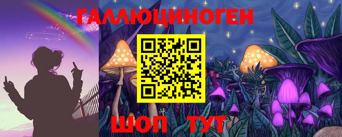 Кохма  продажа наркотиков  Вход с VPN  Псилоцибиновые грибы MAGIC MUSHROOMS 